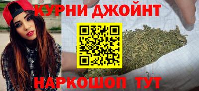 ешки Бийск