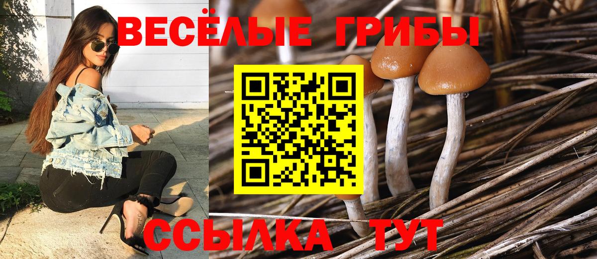 наркота  Вход с VPN  Кизилюрт  Галлюциногенные грибы Cubensis 
